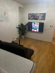 林茨Arbeiten Zimmer的客厅配有床和平面电视