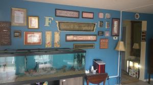 纳什维尔Lil Black Bear Inn的室内的蓝色墙和鱼缸