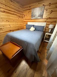 朗维尤Hillside Hideaway的小木屋内一间卧室,配有一张床