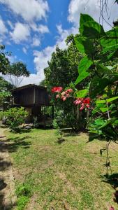 莱蒂西亚Amazona Lodge的树在院子里的房子