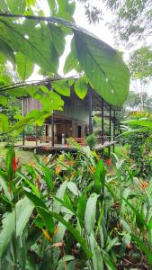 莱蒂西亚Amazona Lodge的花园中绿树成荫的建筑