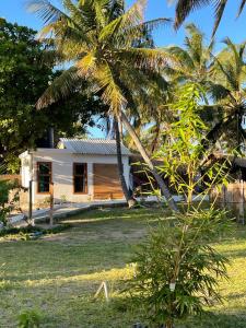 伊尼扬巴内CosyBe Villas的棕榈树白色的小房子