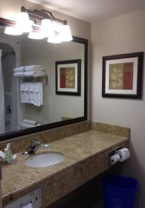 卡尔加里Country Inn & Suites by Radisson, Calgary-Northeast的一间带水槽和大镜子的浴室