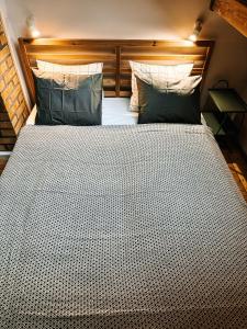 卡尔帕奇Domek w Karpaczu的一张大床,配有两个枕头