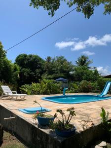 南蒂包Sítio Vila das Flores的院子里种有三棵植物的游泳池