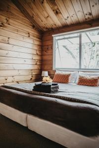 哈海Tatahi Cove Back Packer的木制客房内的一张大床,设有窗户