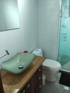 圣塞巴斯蒂安Flat charmoso na praia de Juquehy的一间带绿色水槽和卫生间的浴室