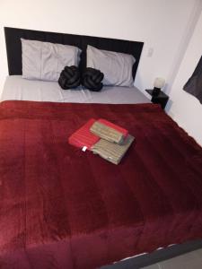 里约热内卢Apartamento Centro/Lapa-RJ Rua Sen. Dantas n.°80的一张带红色毯子的床和两张毛巾