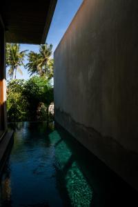 KetewelLangit Pitu Villas的棕榈树建筑旁边的水池