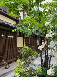 京都Imakumano Terrace - Dohachi An 道八庵的建筑物前有白色花的树