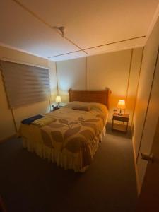 波韦尼尔Cabañas Porvenir Tierra del Fuego的一间卧室配有一张床,两盏台灯放在两张桌子上