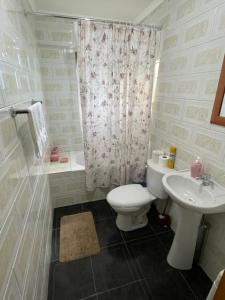 波韦尼尔Cabañas Porvenir Tierra del Fuego的浴室配有卫生间、盥洗盆和淋浴。