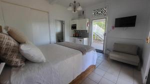 Emu ParkRibbonwood Bed & Breakfast, Emu Park Qld的一间卧室配有一张床、一把椅子和电视