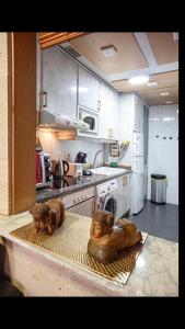 马德里Apartamento MADRID CENTRO GRAN VIA - CALLAO的厨房配有带炉灶和水槽的台面