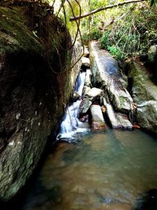 库鲁内格勒Silver Hill Ecovillage的河中流水,有岩石