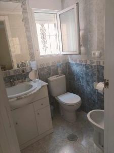 阿尔戈法Appartement avec piscine à Algorfa的一间带卫生间、水槽和镜子的浴室