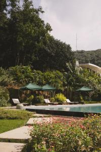 贡布Villa La Plantation的一个带绿伞和鲜花的游泳池