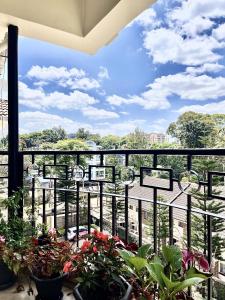 内罗毕Westlands Escape-Homestay的阳台种有盆栽植物,享有美景。