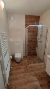 小莫拉夫卡Apartmán Stodola的一间带卫生间和淋浴的浴室。