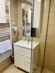 托普利察Casa Lazar的浴室配有白色水槽和淋浴。