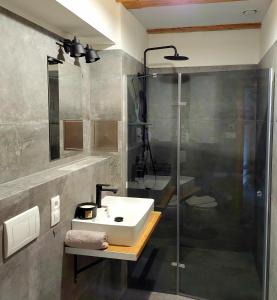 苏希采Rezidence Valcha的一间带水槽和淋浴的浴室