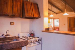 Los ÁrbolesFinca La Pichona的厨房配有炉灶和水槽