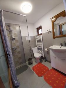 波洛夫拉吉Casa Stefi si Alexia的带淋浴、卫生间和盥洗盆的浴室