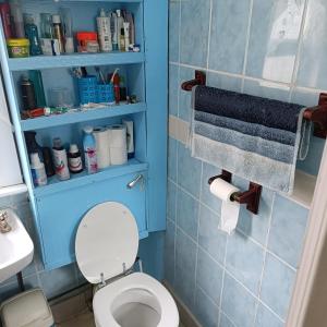 伦敦Alys apartment的浴室位于卫生间上方,配有蓝色橱柜