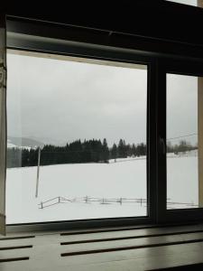 KrivopolʼyeKam In的窗户享有雪覆盖的田野美景
