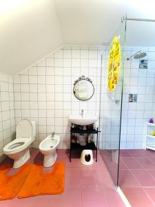 KrivopolʼyeKam In的浴室配有卫生间、盥洗盆和淋浴。