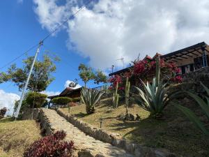 AratocaCabañas Cañon Del Chicamocha的前面有一堆植物的房子