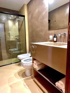 蒂尔卡拉Hotel Cerros del Norte的一间带水槽、卫生间和镜子的浴室