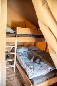 索尔陶Glampingzelt Heide - Lodge的双层床间内的一张床位,配有两张双层床