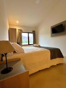 蒂尔卡拉Hotel Cerros del Norte的一间卧室设有一张大床和窗户