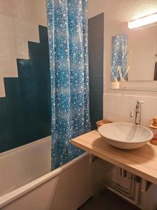 莱孔塔米讷蒙茹瓦Studio pieds des pistes plein soleil的浴室设有水槽和蓝色的浴帘
