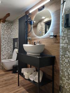 布拉索夫Trend Apart Hotel的一间带水槽和镜子的浴室