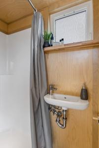弗拉格斯塔夫Tiny home near Grand Canyon sleeps 5, epic views!的一间带水槽和淋浴帘的浴室