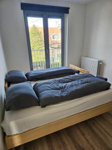 多德雷赫特Residence Dordrecht - 10 persons的卧室配有一张带蓝色枕头的床,卧室设有窗户