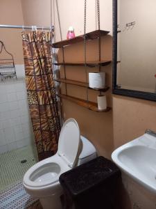 戴维PaCasa Hostel的一间带卫生间和水槽的浴室
