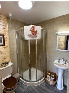 多尼戈尔Robins Rest的带淋浴、卫生间和盥洗盆的浴室