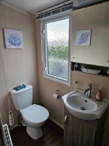 LincolnshireSwift Moselle的一间带卫生间、水槽和窗户的浴室