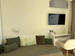 马贝拉Las Palmas 1的带沙发和平面电视的客厅
