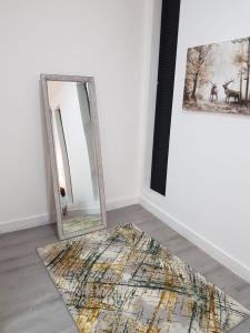 伍尔弗汉普顿Kingdom apartments的地毯间的镜子