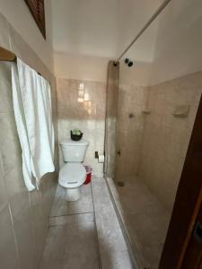 科苏梅尔Hotel Bello Caribe的一间带卫生间和淋浴的浴室