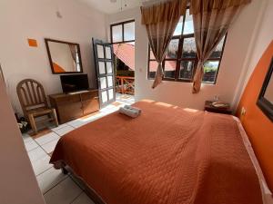 科苏梅尔Hotel Bello Caribe的一间卧室设有一张床、一台电视和窗户。