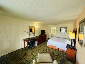 布卡拉顿博卡旅馆的配有一张床和一张书桌的酒店客房