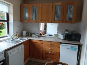韦斯特波特The Croft Apartment的厨房配有木制橱柜、水槽和微波炉