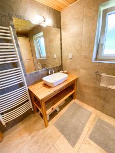 斯姆尔克山麓新城Chalupa Ludvíkov的一间带水槽和镜子的浴室