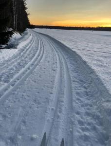 于默奥Gamla gården i Ersmark Umeå的雪地里一条带滑雪道的雪地道路