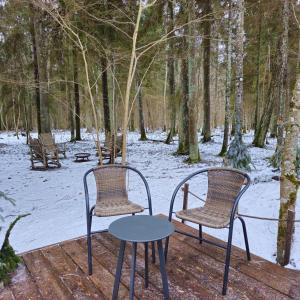 AukštelkėMiško sielos namelis su pirtele的雪地里两把椅子和一张桌子